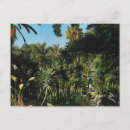 Pesquisar por república cartoes postais Vintage