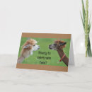 Pesquisar por celebrar cartoes Para eles