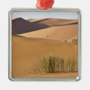 Pesquisar por muçulmanos ornamentos Viagem