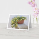 Pesquisar por moss cartoes Qualquer pessoa