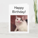 Pesquisar por gato engraçado do gatinho cartoes Para ele