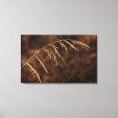 Pesquisar por erva daninha impressão de canvas Fotografia