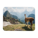 Pesquisar por picchu machu imas Paisagem