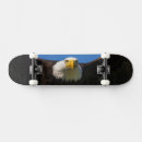 Pesquisar por águias skates Águia americana