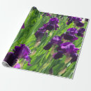 Pesquisar por haste papel de presente Flores