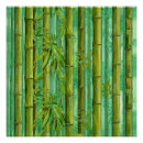 Pesquisar por bambu verde pôsteres pósteres Floresta de bambu