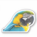 Pesquisar por macaw adesivos Tropical