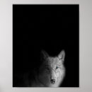 Pesquisar por lobos pósteres Preto e branco