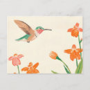 Pesquisar por hummingbird cartoes postais Tropicais
