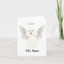 Pesquisar por poodle cartoes Para pets