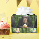 Pesquisar por macaco engraçado papel de presente Chimpanzé