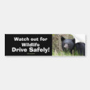 Pesquisar por urso adesivos carros Natureza
