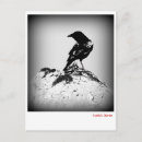 Pesquisar por corvo preto cartoes postais Aves