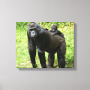 Pesquisar por gorila impressão de canvas Animais selvagens