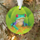 Pesquisar por olhos vermelhos ornamentos Agalychnis callidryas