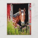 Pesquisar por porta de celeiro cartoes postais Qualquer pessoa