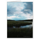 Pesquisar por pantanal cartoes postais Paisagem