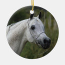 Pesquisar por cavalo árabe ornamentos Foto