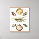 Pesquisar por shell impressão de canvas Concha