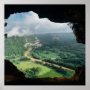Pesquisar por selva pósteres Para ela