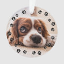 Pesquisar por mantimento casa presentes Para pets