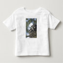Pesquisar por lotor camisetas Guaxinim