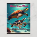 Pesquisar por cartão havaiano cartoes postais Para todos