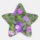 Pesquisar por flor da estrela Qualquer pessoa