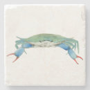 Pesquisar por garra porta copos Qualquer pessoa