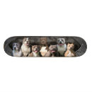 Pesquisar por pitbulls skates Costume