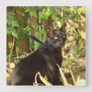 Pesquisar por o gato relogios de parede Animais de estimação