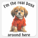 Pesquisar por boss adesivos Animal
