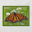 Pesquisar por asas coloridas cartoes postais Qualquer pessoa