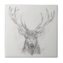 Pesquisar por desenhos azulejos Animais