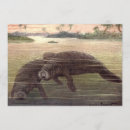 Pesquisar por mamíferos convites Para todos