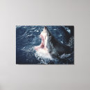 Pesquisar por tubarão impressão de canvas Horizontal