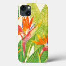 Pesquisar por birds of Bird of paradise