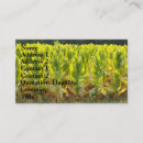 Pesquisar por cigarro cartao de visita Fumador