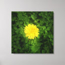 Pesquisar por dandelion impressão de canvas Verde