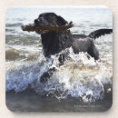 Pesquisar por através porta copos Praia