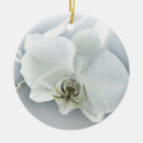Pesquisar por orquídeas brancas ornamentos Branco