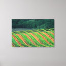 Pesquisar por vinhedo impressão de canvas Eua