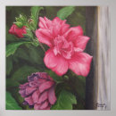 Pesquisar por sharon pôsteres pósteres Rosa