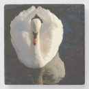 Pesquisar por cisne porta copos Paisagem