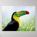 Pesquisar por pássaros tropicais pôsteres pósteres Colorido
