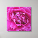 Pesquisar por rosa quente impressão de canvas Fotografia
