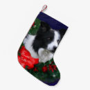 Pesquisar por border collie meias de natal Feriado