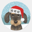 Pesquisar por dachshund adesivos Teckel
