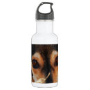 Pesquisar por dachshund garrafa agua Animal