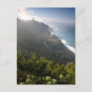 Pesquisar por ilha madeira cartoes postais Árvore